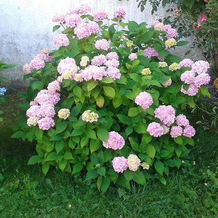 Apartament Casa Rural Oihan - Eder Espinal-Auzperri Zewnętrze zdjęcie
