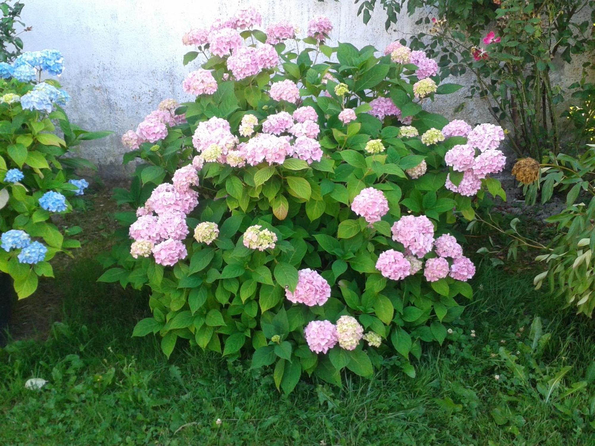 Apartament Casa Rural Oihan - Eder Espinal-Auzperri Zewnętrze zdjęcie